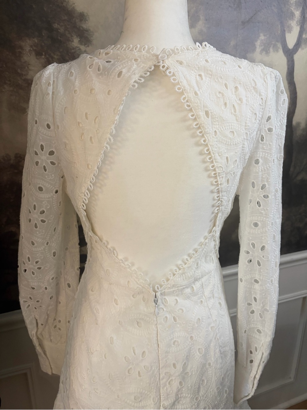 Princess Polly White Eyelet V-Neck Long Sleeve Mini Dress - Picture 5 of 12